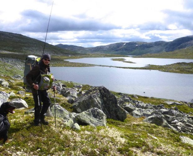 Tommy-stubsveen-Tiurfot-Hardangervidda