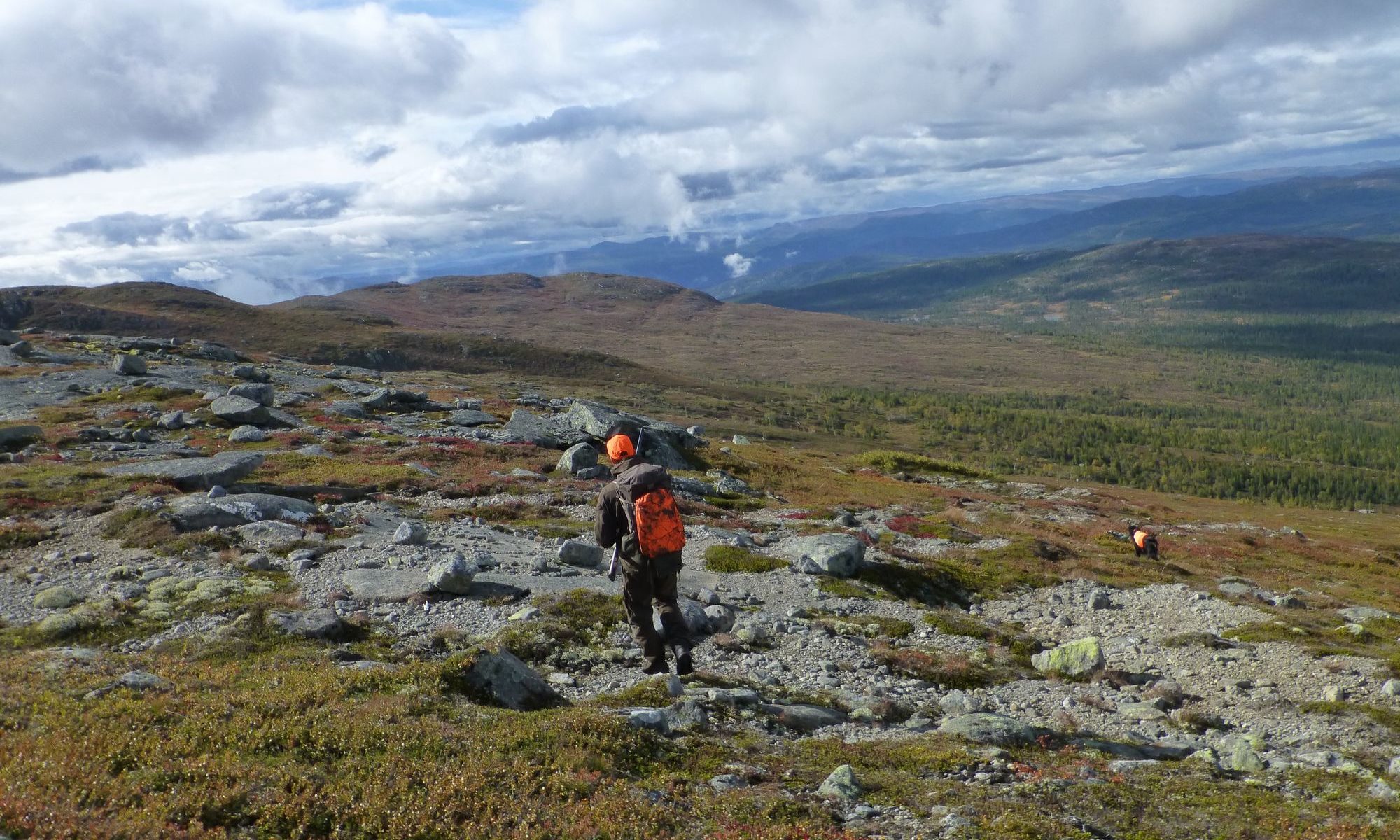 Tiurfot-sqoop-outdoor-norwayP1100122-fuglejakt2017